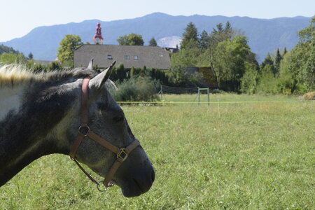 Slovénie Août 2022, _DSC0533