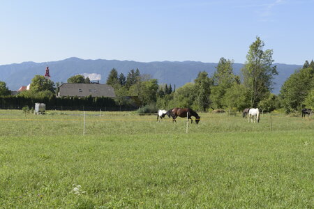 Slovénie Août 2022, _DSC0526