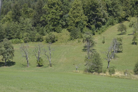 Slovénie Août 2022, _DSC0674
