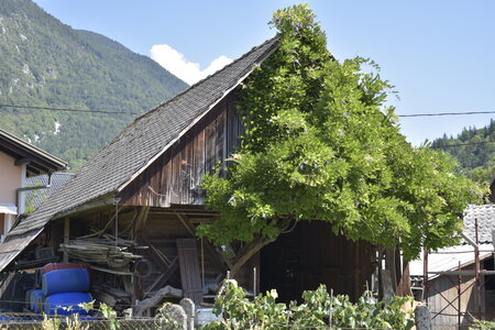 Slovénie Août 2022, _DSC0666
