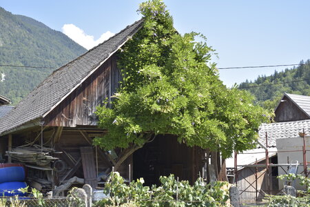 Slovénie Août 2022, _DSC0665