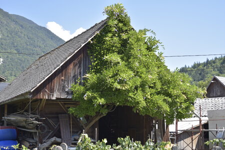 Slovénie Août 2022, _DSC0664