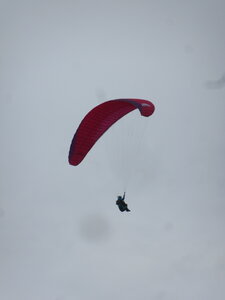 Sortie Vosges du Sud 24-25 septembre 2022, IMG_5112