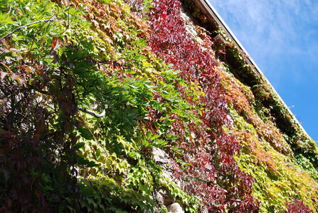 Venterol, la tête de Broussac et le col de Marmets le 27 septembre 2022, DSC_0333