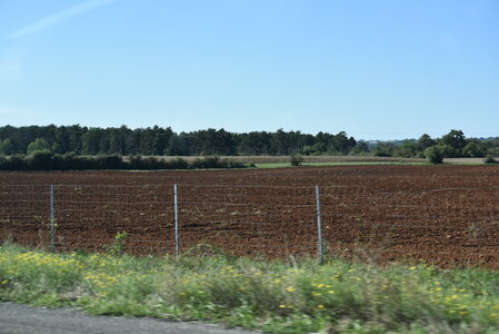 Avignon 2022, Zurlu  2 