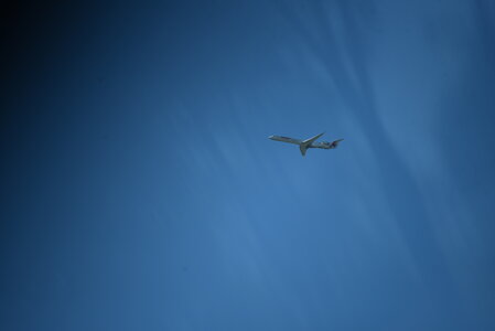 Avignon 2022, Zurlu  5 