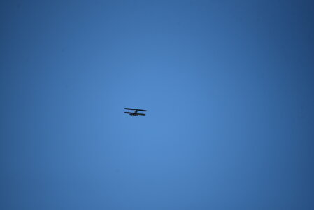 Avignon 2022, Zurlu  6 