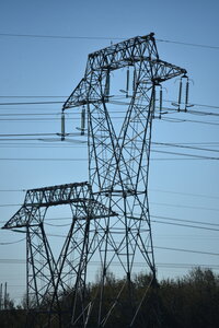 Avignon 2022, Zurlu  7 