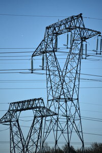 Avignon 2022, Zurlu  8 