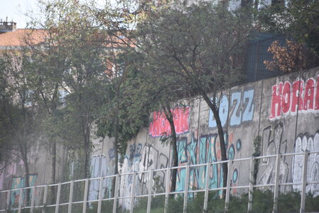 Avignon 2022, Zurlu  25 