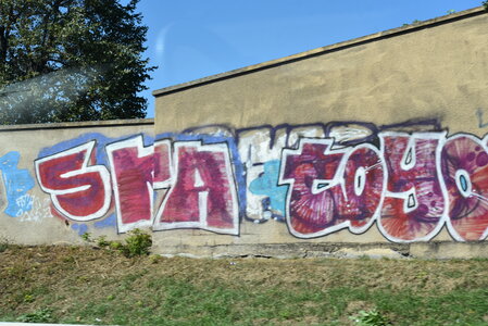 Avignon 2022, Zurlu  71 