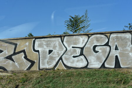 Avignon 2022, Zurlu  82 