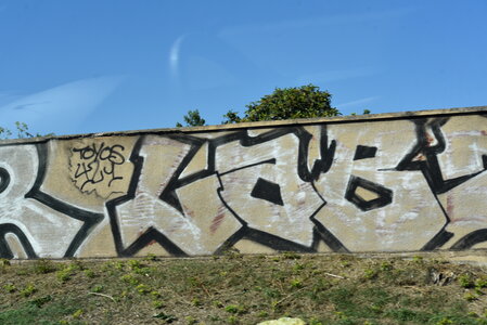 Avignon 2022, Zurlu  85 