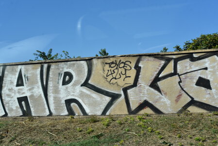 Avignon 2022, Zurlu  86 