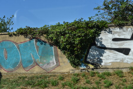 Avignon 2022, Zurlu  100 