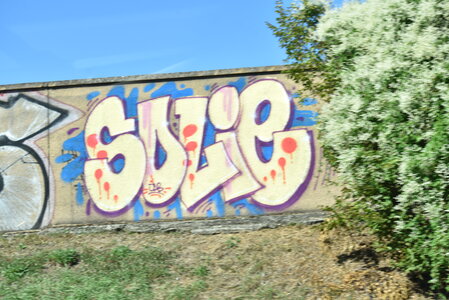 Avignon 2022, Zurlu  104 