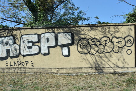 Avignon 2022, Zurlu  113 