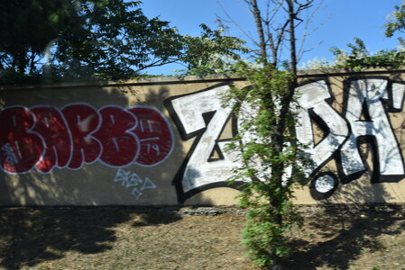 Avignon 2022, Zurlu  117 