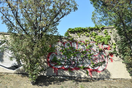 Avignon 2022, Zurlu  129 