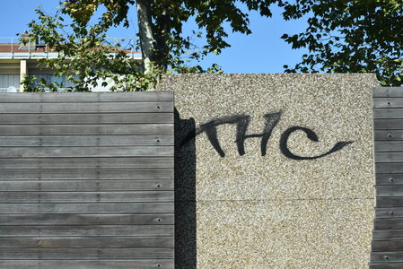 Avignon 2022, Zurlu  135 