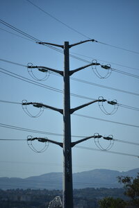 Avignon 2022, Zurlu  136 