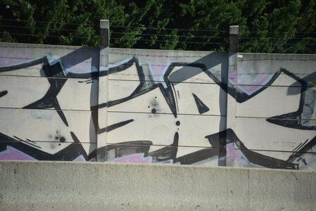 Avignon 2022, Zurlu  161 