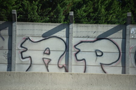 Avignon 2022, Zurlu  163 