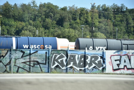 Avignon 2022, Zurlu  217 