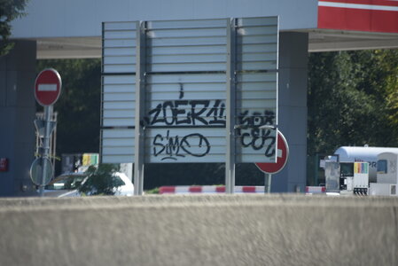 Avignon 2022, Zurlu  223 