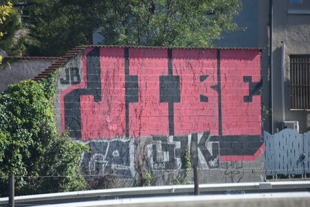 Avignon 2022, Zurlu  224 