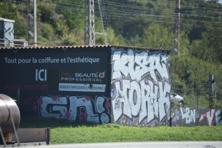 Avignon 2022, Zurlu  229 