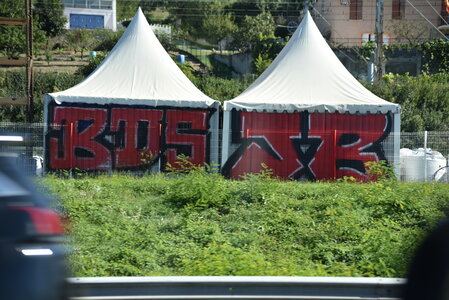 Avignon 2022, Zurlu  235 