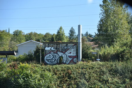 Avignon 2022, Zurlu  236 