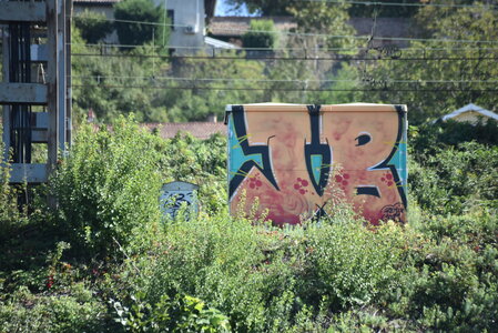 Avignon 2022, Zurlu  237 