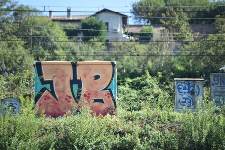 Avignon 2022, Zurlu  238 