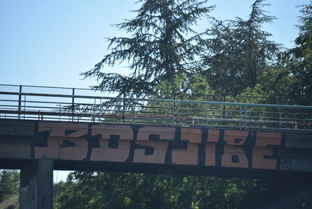 Avignon 2022, Zurlu  241 