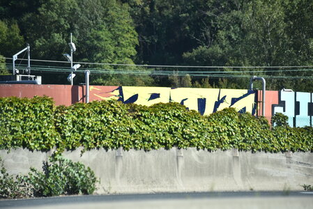 Avignon 2022, Zurlu  249 