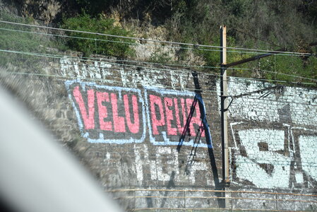 Avignon 2022, Zurlu  252 