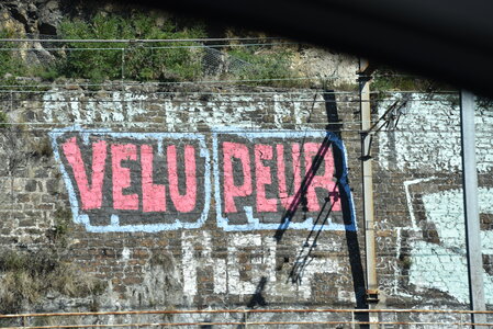 Avignon 2022, Zurlu  253 