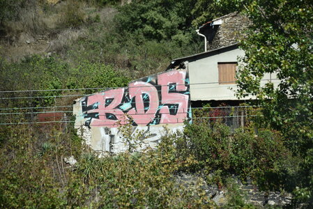 Avignon 2022, Zurlu  254 