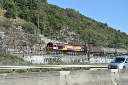 Avignon 2022, Zurlu  255 