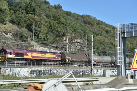 Avignon 2022, Zurlu  256 