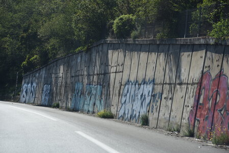 Avignon 2022, Zurlu  259 