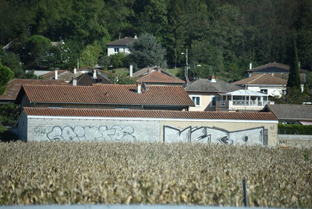 Avignon 2022, Zurlu  290 