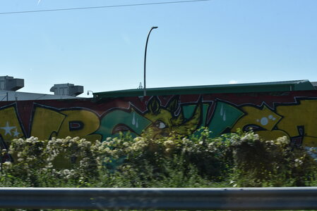 Avignon 2022, Zurlu  294 