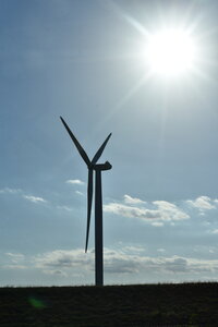 Avignon 2022, Zurlu  304 