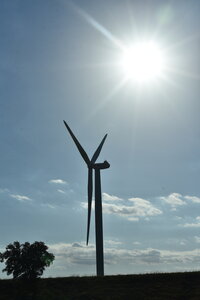 Avignon 2022, Zurlu  305 