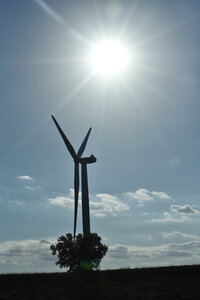 Avignon 2022, Zurlu  306 