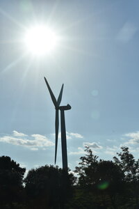 Avignon 2022, Zurlu  307 