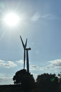 Avignon 2022, Zurlu  308 